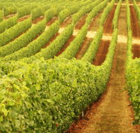 Fermoy Estate - Melbourne Tourism