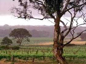  Melbourne Tourism