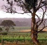 Yangarra Estate Vineyard - Melbourne Tourism