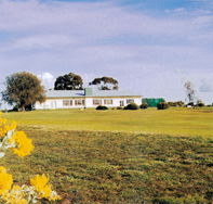 Lucindale Country Club - Melbourne Tourism