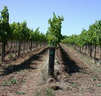 Temple Bruer Winery - Melbourne Tourism