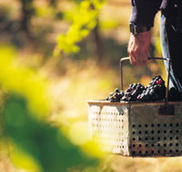 Burge Family Winemakers - Melbourne Tourism