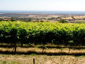 Braydun Hill Vineyard - Melbourne Tourism 0