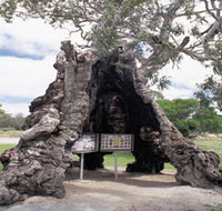 The Herbig Family Tree - Melbourne Tourism