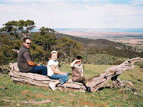 Bridle Track - Melbourne Tourism 0