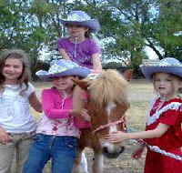 Amberainbow Pony Rides - Melbourne Tourism