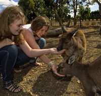 Kangaroo Island Wildlife Park - Melbourne Tourism