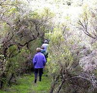 Jack And Hilda McArthur Walk - Melbourne Tourism