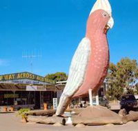 The Big Galah - Melbourne Tourism