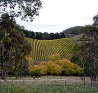Mt Bera Vineyards - Melbourne Tourism