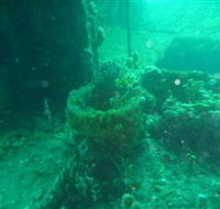 Wallaroo Scuba Club - Melbourne Tourism