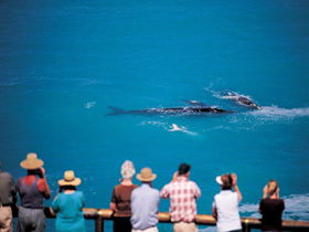 Nullarbor SA Melbourne Tourism