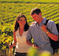 Lady Bay Vineyard - Melbourne Tourism