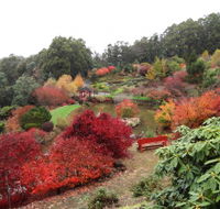 Emu Valley Rhododendron Garden - Melbourne Tourism