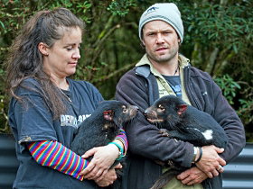 Cradle Mountain TAS Melbourne Tourism