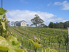 Bruny Island Premium Wines Bar And Grill - Melbourne Tourism 0