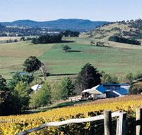 Freycinet Vineyards Pty Ltd - Melbourne Tourism