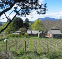 Wilmot Hills Vineyard - Melbourne Tourism