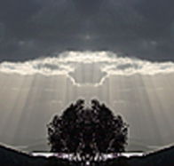 aart. Gallery of Fine Art - Melbourne Tourism