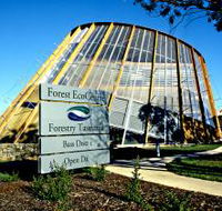 Forest EcoCentre - Melbourne Tourism