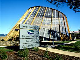 Forest EcoCentre - Melbourne Tourism 0