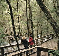 Franklin River Nature Trail - Melbourne Tourism