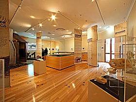 Tasmanian Tiger Exhibition - Melbourne Tourism 0