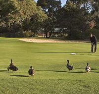 Royal Hobart Golf Club - Melbourne Tourism