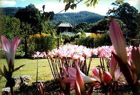 Blueberry Cottage Open Gardens - Melbourne Tourism 0