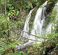 Hogarth Falls - Melbourne Tourism