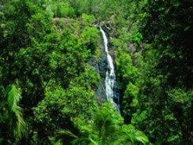 Montville QLD Melbourne Tourism