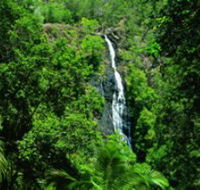 Kondalilla National Park - Melbourne Tourism