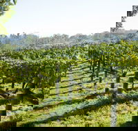 Surveyor's Hill Vineyards - Melbourne Tourism