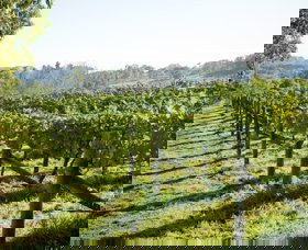 Surveyor's Hill Vineyards - Melbourne Tourism 0