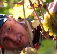 Puddleduck Vineyard - Melbourne Tourism