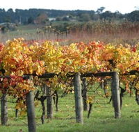 Apsley Gorge Vineyard - Melbourne Tourism
