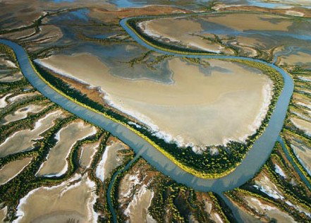 The Wilderness Gallery - Melbourne Tourism 0