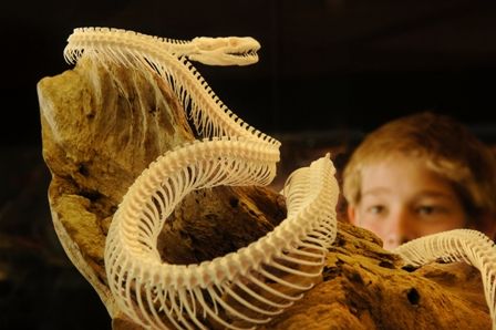 Araluen Cultural Precinct - Melbourne Tourism 4