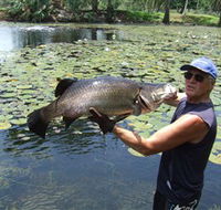 Barra Feeding - Melbourne Tourism