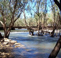 Low Level Nature Reserve - Melbourne Tourism