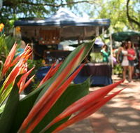 Nightcliff Markets - Melbourne Tourism