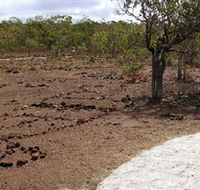 Wurrwurrwuy Garanhan Macassan Beach Interpretive Walk - Melbourne Tourism