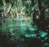Mataranka Thermal Pool - Melbourne Tourism