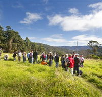 Apple Tree Park - Melbourne Tourism