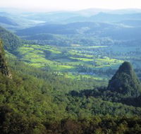 Springbrook Plateau Springbrook National Park - Melbourne Tourism