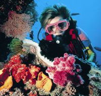 Cook Island Dive Site - Melbourne Tourism