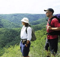 Sunshine Coast Hinterland Great Walk - Melbourne Tourism