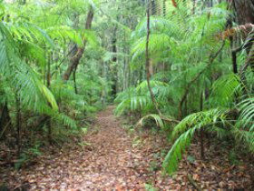 Mapleton QLD Melbourne Tourism
