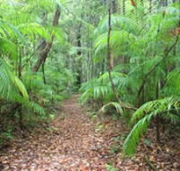Delicia Road Conservation Park - Melbourne Tourism