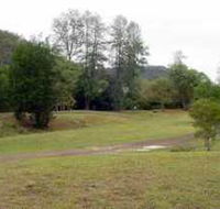 Brooyar State Forest - Melbourne Tourism